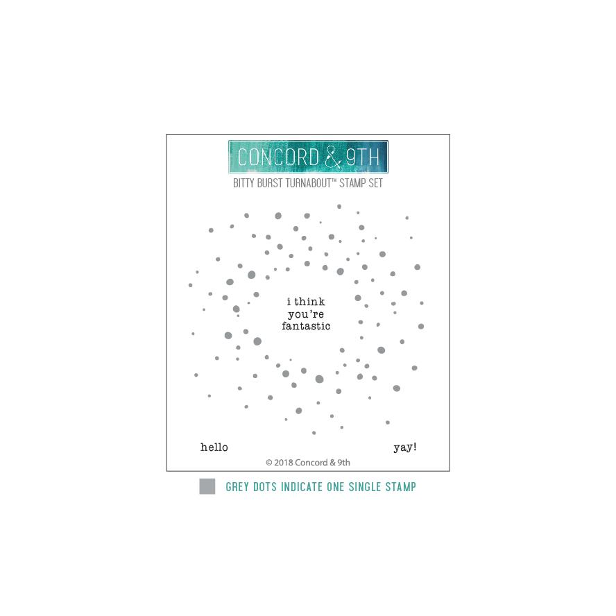 Concord & 9th - Bitty Burst Turnabout Stamp Set