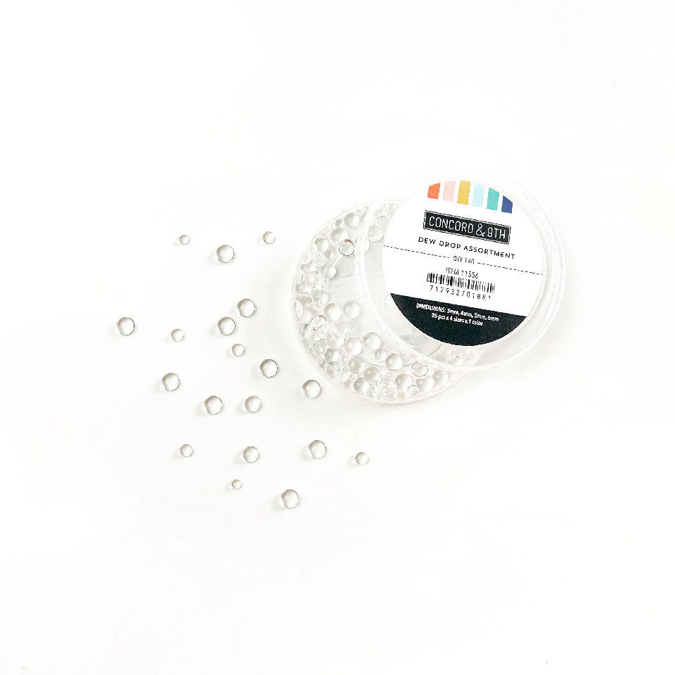 Concord & 9th - Dew Drop Assortment