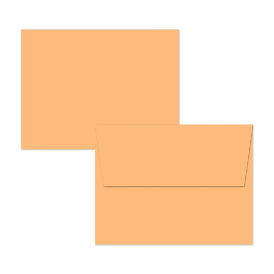 Concord & 9th - Creamsicle Envelopes