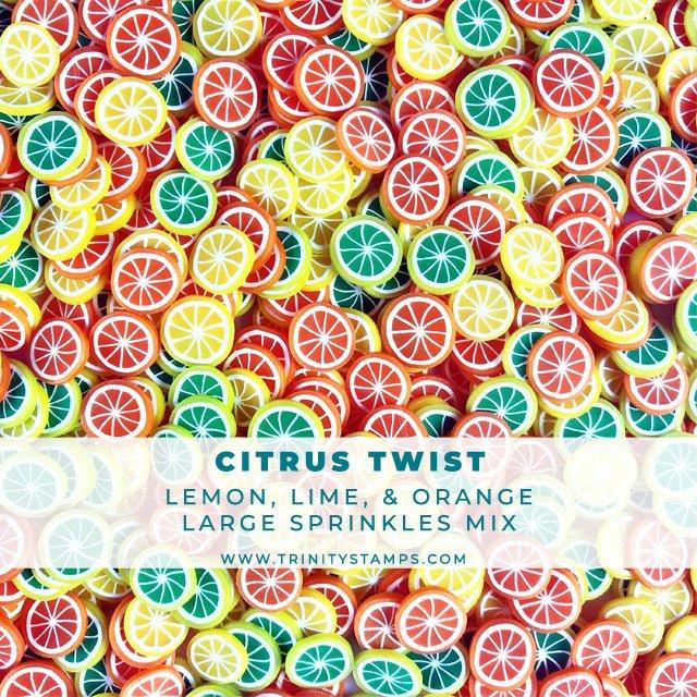 Trinity Stamps - Citrus Twist - Larger size Fruit Slice Sprinkle Embellishment Mix