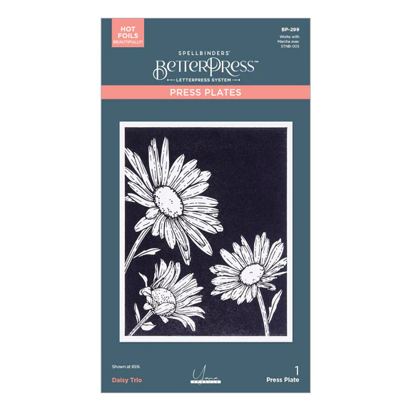Spellbinders - Daisy Trio Press Plates from the Yana's Daisies Collection by Yana Smakula
