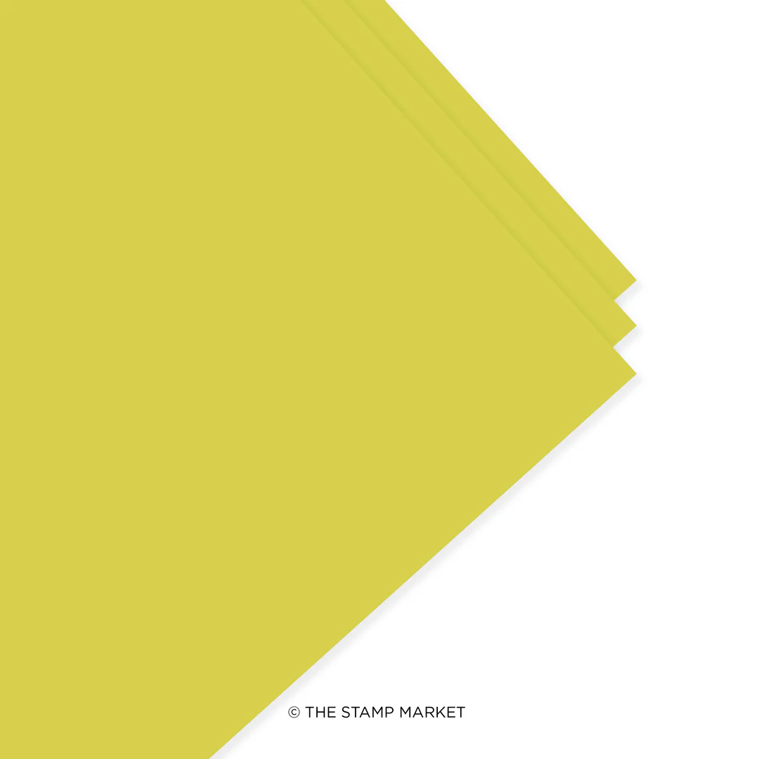 *NEW* - The Stamp Market - CITRUS BURST - Cardstock (5 Sheets Each)