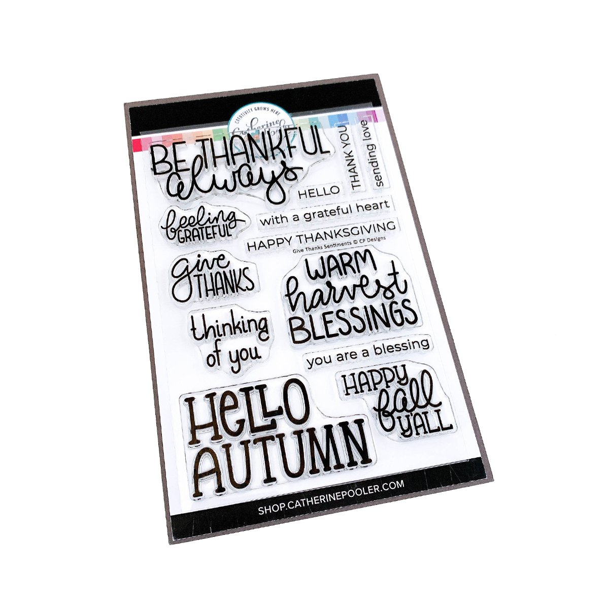 Catherine Pooler - Give Thanks Sentiments Stamp Set