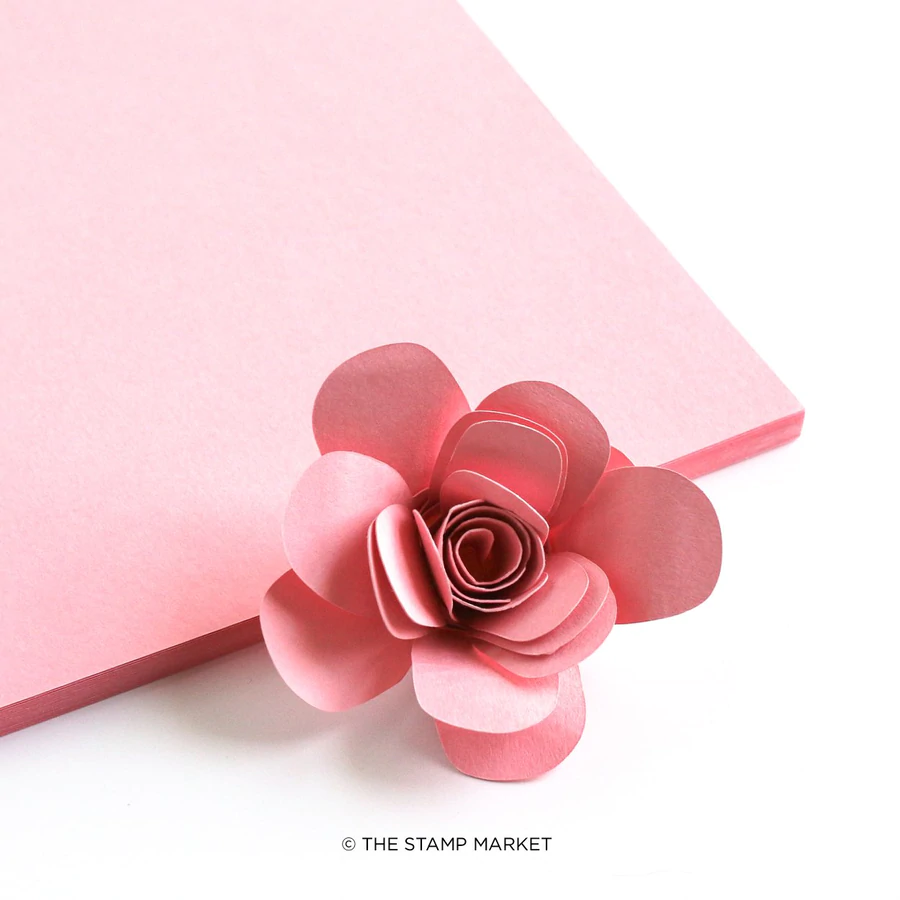 The Stamp Market - Color Crush Cardstock (5 Sheets Each) - Cheeky