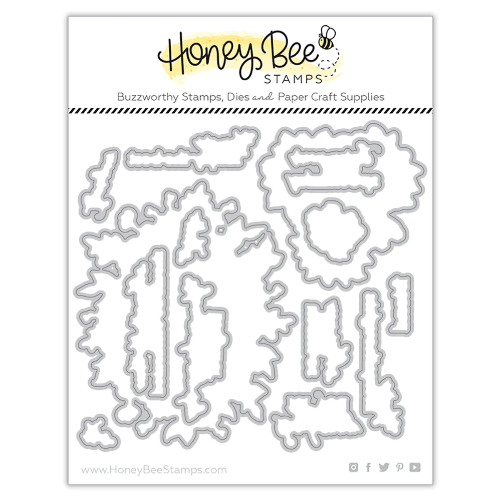 Honey Bee - Daisy Layers Bouquet - Honey Cuts