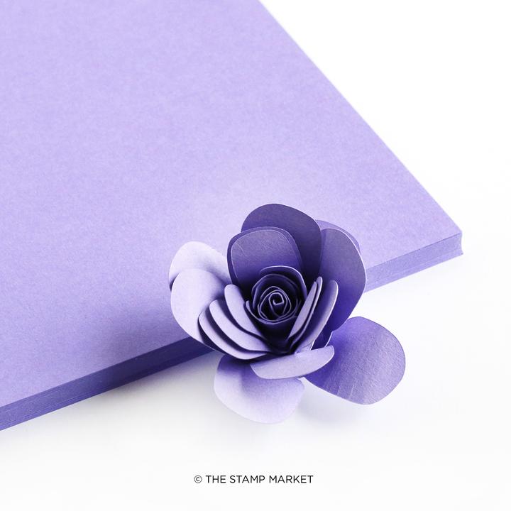 The Stamp Market - Color Crush Cardstock (5 Sheets Each) - Lilac