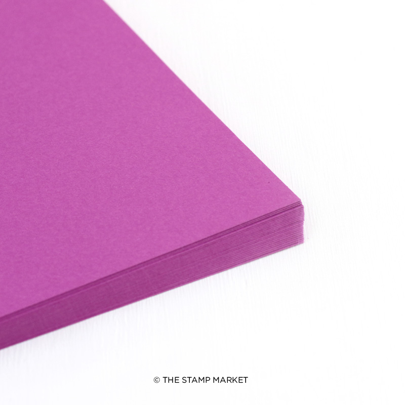 The Stamp Market - Color Crush Cardstock (5 Sheets Each) - Orchid