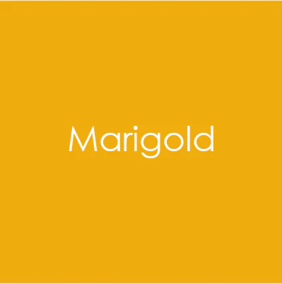 Gina K Designs - Marigold - CARD STOCK 8.5 X 11