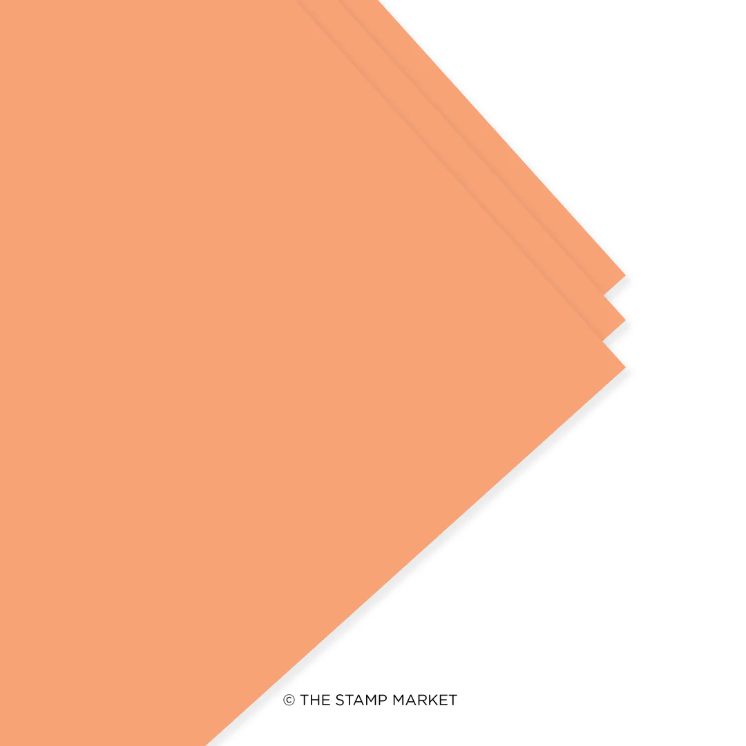 **NEW* - The Stamp Market - SORBET - Cardstock (5 Sheets Each)