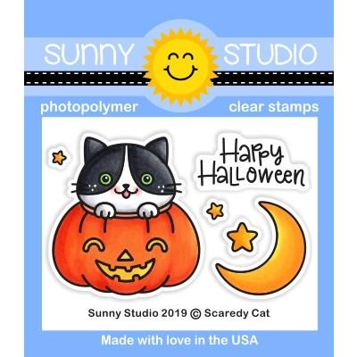 Sunny Studio - Scaredy Cat 2x3 Clear Stamps