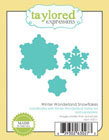 Taylored Expressions - Winter Wonderland Snowflakes
