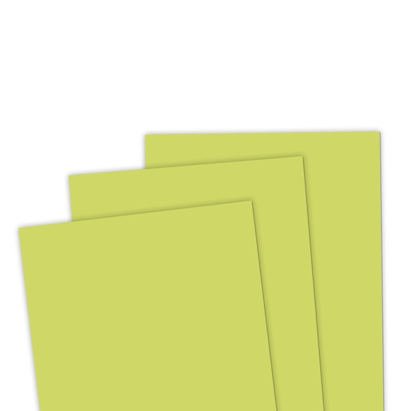 Taylored Expression - TE Premium Cardstock - Kiwi