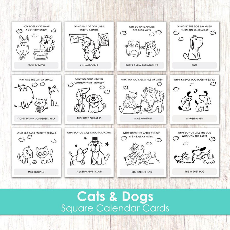 Taylored Expression - Square Calendar Cards - Cats & Dogs