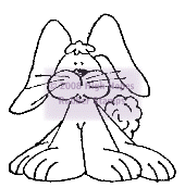Mr Wiskers
